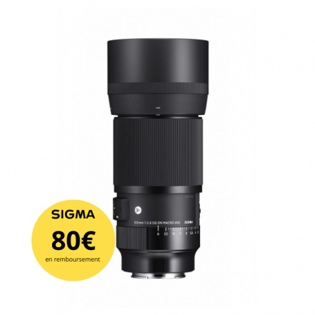 SIGMA 105 MM F/2.8 MACRO DG DN ART L MOUNT