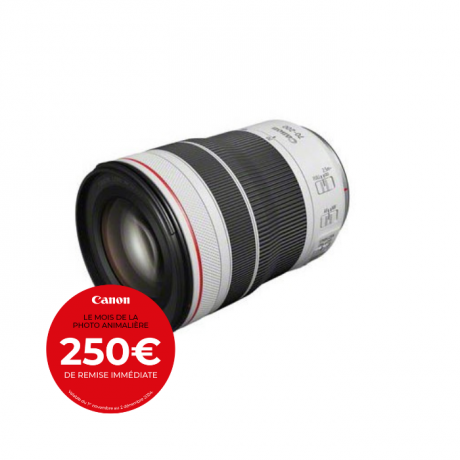 CANON RF 70-200 MM F/4 L IS USM