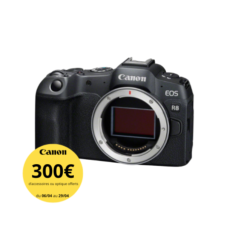 Canon EOS R8 : hybride plein format léger et puissant