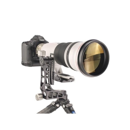 LEOFOTO PG-1 TÊTE PENDULAIRE